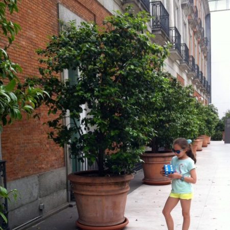 Entrada Museo Thyssen Bornemisza