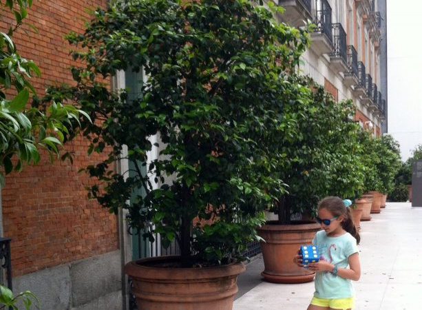 Entrada Museo Thyssen Bornemisza