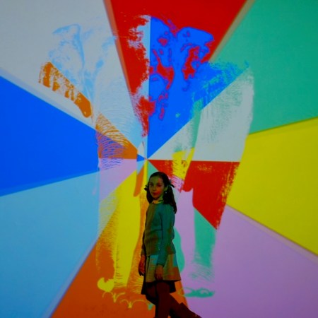 Juegos ópticos Truco del elefante Houdini