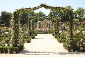 Entrada a La Rosaleda de El Retiro