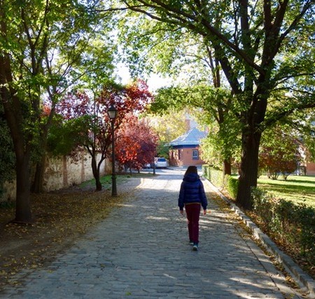 Camino que lleva al Huerto de El Retiro