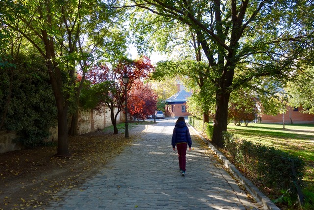Camino que lleva al Huerto de El Retiro
