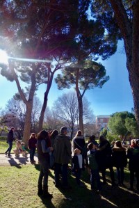 El Retiro. Árboles. Usos asombrosos de los árboles.