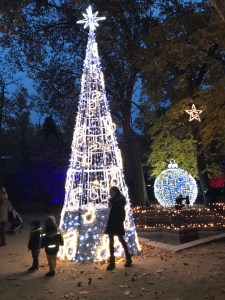 Luces de Navidad en el Real Jardín Botánico