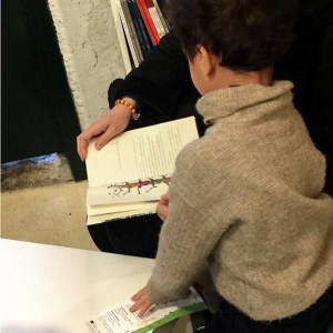 Animales de compañía con Cuenta K