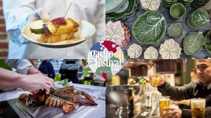Gastrofestival